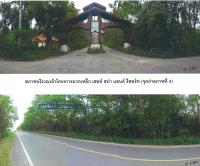 ที่ดินพร้อมสิ่งปลูกสร้างหลุดจำนอง ธ.ธนาคารกรุงไทย สระบุรี มวกเหล็ก มวกเหล็ก