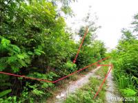 ที่ดินว่างเปล่าหลุดจำนอง ธ.ธนาคารกสิกรไทย สระบุรี วังม่วง วังม่วง