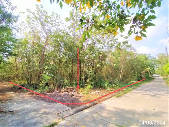 ที่ดินว่างเปล่าหลุดจำนอง ธ.ธนาคารกสิกรไทย สระบุรี แก่งคอย ตาลเดี่ยว